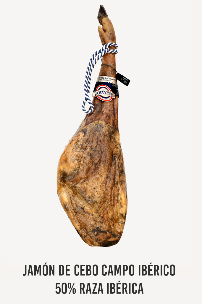 jamon-cebo-campo